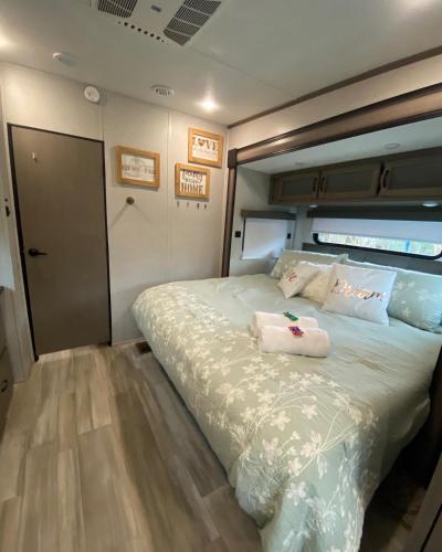 Cozy RV Experience w/POOL+SPA Near Lake Conroe