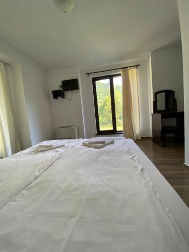 Complex Magic of the Rhodopes