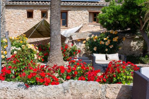 Villa Sa Barcella - image 5