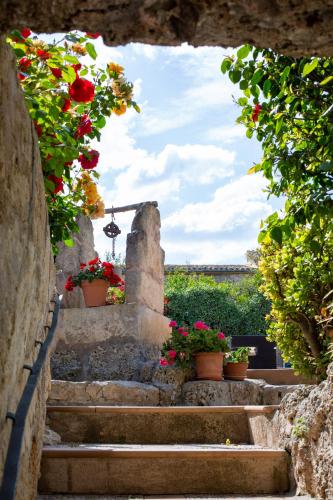 Villa Sa Barcella - image 4