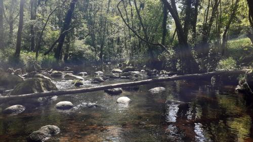 Superbe Moulin au bord d'une riviere, au calme, avec piano