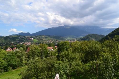 Transylvanian Inn - main image