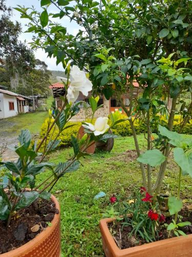 Finca Hotel El Paraíso