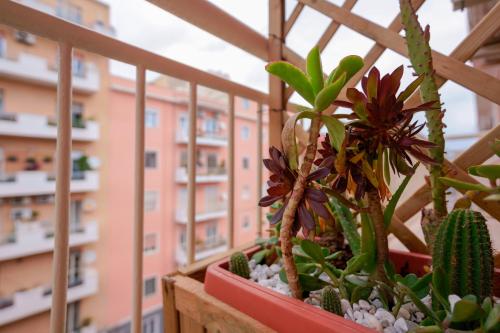 A szálláshely kívülről, Bissenti Rooms - Eja Sardinia in Cagliari Városközpont