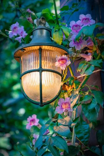 Svarzman suite Svarzman suite