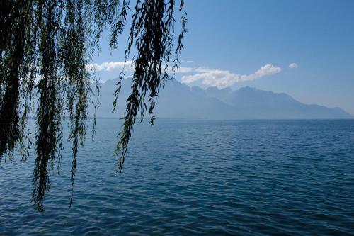 Montreux Youth Hostel - image 7