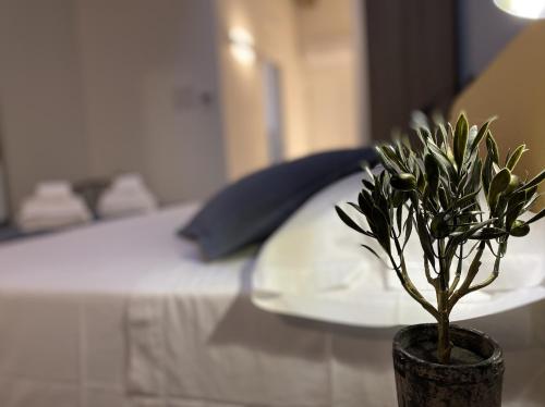 LUlivo Comfort Rooms