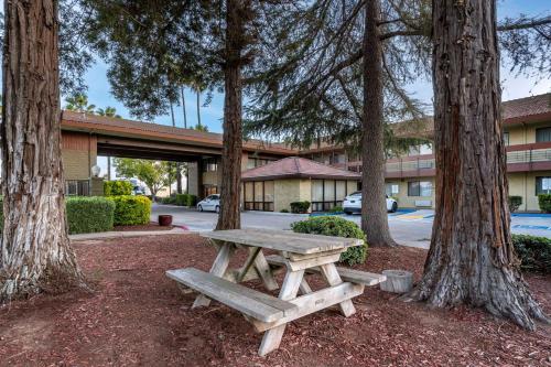 Best Western Orchard Inn - image 7