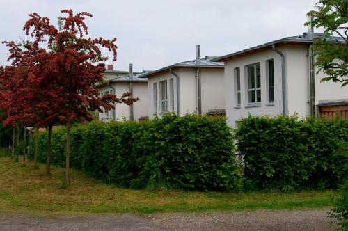 Ferienhaus in Heiligendamm mit Sauna & Kamin in Bad Doberan