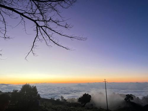 La Bromelia/Cabaña de Montaña, Cerro de la Muerte. (La Bromelia/Cabana de Montana, Cerro de la Muerte.) in การ์ตาโก