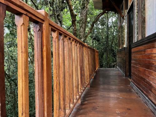 La Bromelia/Cabaña de Montaña, Cerro de la Muerte. (La Bromelia/Cabana de Montana, Cerro de la Muerte.) in การ์ตาโก