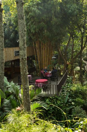 Kert, Kampung Sampireun Resort & Spa in Samarang