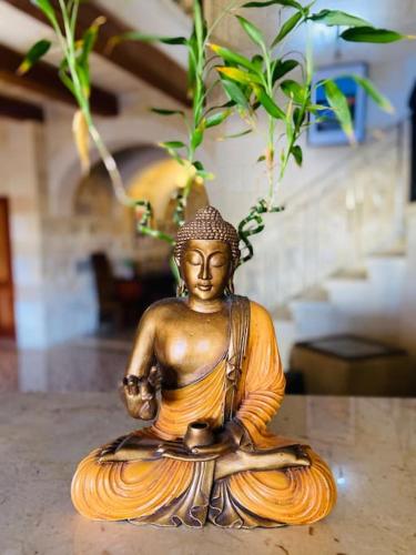 Villa Rossa Gozo - 5 bedroom ensuite with pool & jacuzzi Villa Rossa Gozo - 5 bedroom ensuite with pool & jacuzzi