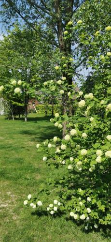 De Groene Hoeve