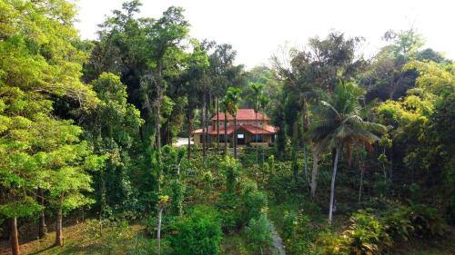 SaffronStays Coorg Toddy Farms, Coorg photo 4
