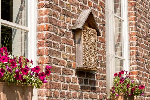 De Pastorie - image 10