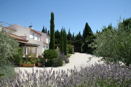 Mas de l'Estello B&B - Chambre d'hôtes - Saint-Rémy-de-Provence