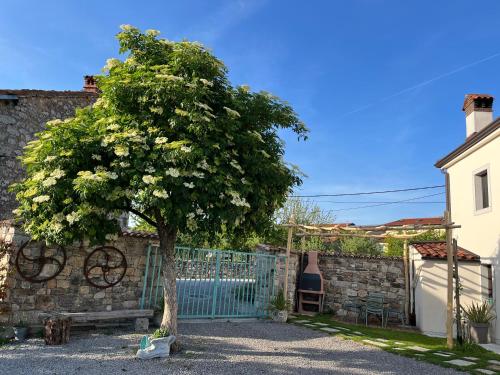 Apartma Ob stari murvi, Sežana