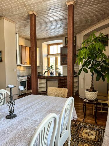 Kitchen, Spacious 1-bedroom apartment with Sauna in Rakvere