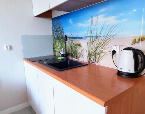 Apartment image 1