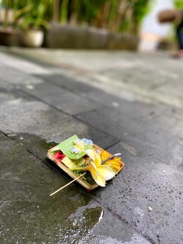 Grey House Monkey Forest – Ubud, CO