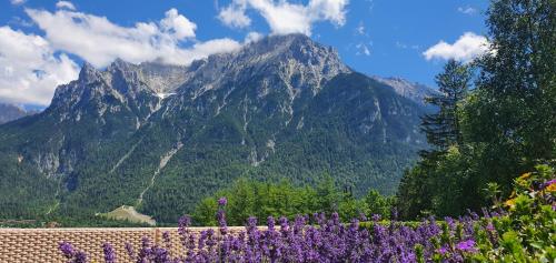 Hotel-Garni Drachenburg - image 12