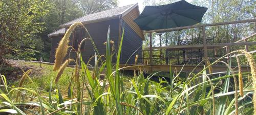 La cabane de Léon gîte à louer Petit Halleux
