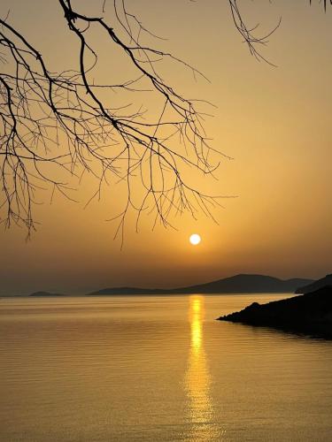 Patmos Horizon