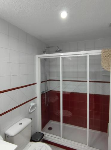 One-Bedroom Apartment image 10