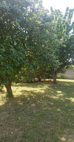 Chambre Zen à la campagne