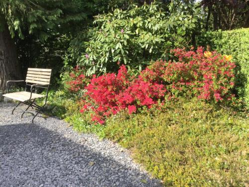  À l’orée du bois in Nivezé