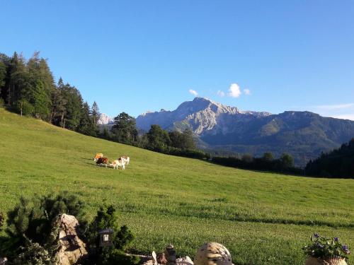 Gästehaus Lärcheck Berchtesgaden FeWo Morgensonne