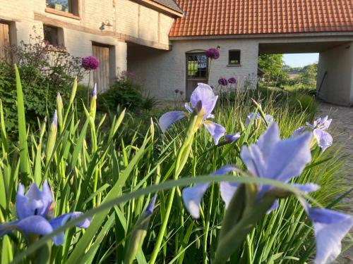 Nachtegael Hoekhuis, knusse woning met prachtig vergezicht