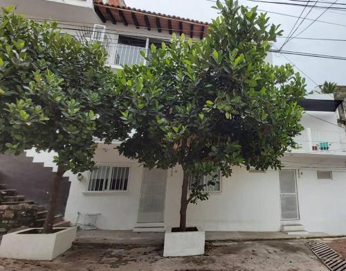 Studio Pulpito in the charming heart of downtown PV in Puerto Vallarta, Mexico