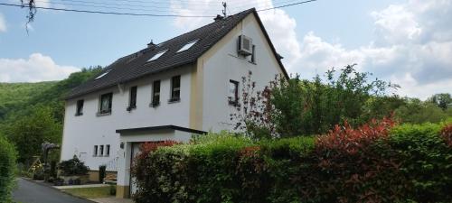 Viesnīcas āriene, Ferienwohnung Mila in Obernhof