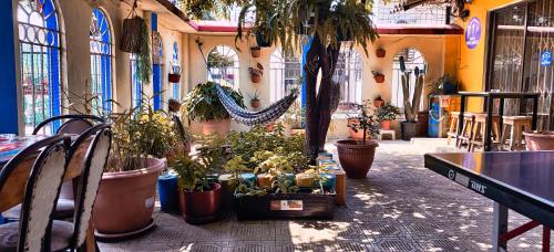 ทัศนียภาพ, Casa Michael in กัวยาควิล