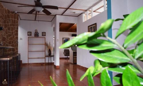 Facilities, Trebol Amarillo Bed & Breakfast in San Antonio