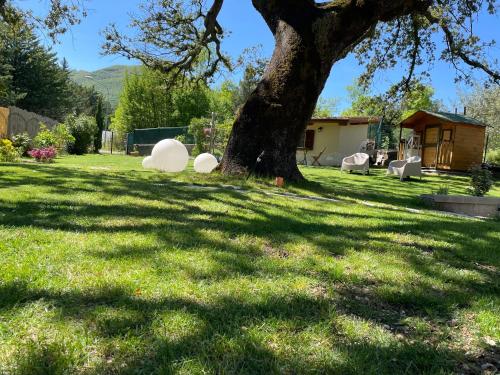  Il leccione in Bagni San Filippo