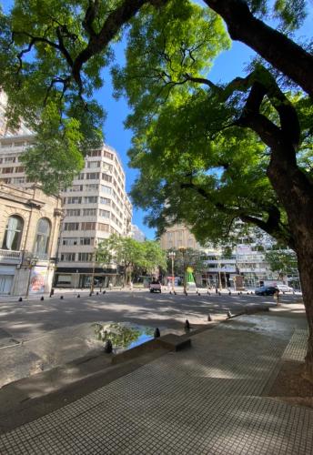 Florida garden, Buenos Aires (fotografie 8)