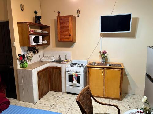 Shirvan Holiday Apartments Studio