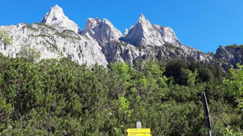 Gästehaus Lärcheck Berchtesgaden FeWo Morgensonne