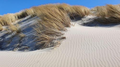 Näher am Wasser kann man nicht wohnen!