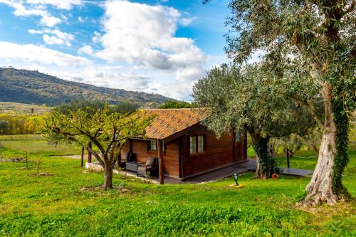 Quinta do Quinto - main image
