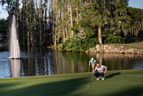 Saddlebrook Golf Resort & Spa Tampa North-Wesley Chapel