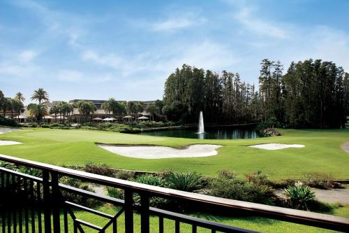 Saddlebrook Resort & Spa