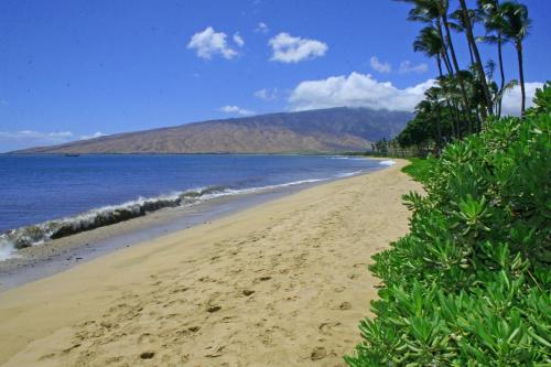 Kihei Beach #603 by Ali'i Resorts - image 7