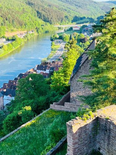 Natur und Neckarblick bei Heidelberg