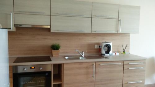 River Side Apartman in Kalocsa