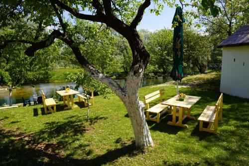 Facilities, Apartments Manitovac M in Niksic