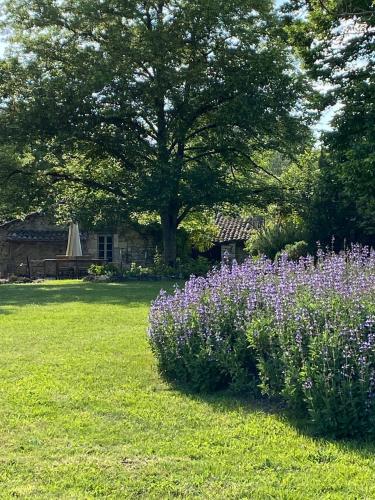 Gite Les 3 Toitures Ecogite le Luquet Saint Beauzeil 82 in Montaigu-de-Quercy